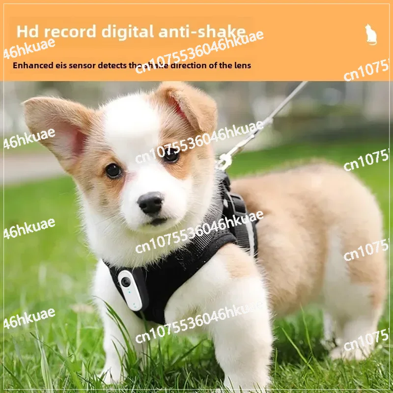 กล้องติดตัวขนาดเล็กกันน้ำสำหรั - Outdoor Adventure Video บทวิจารณ์และราคา